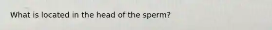 What is located in the head of the sperm?