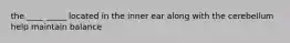 the ____ _____ located in the inner ear along with the cerebellum help maintain balance