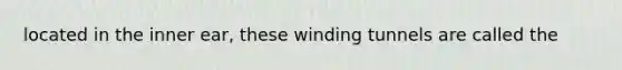 located in the inner ear, these winding tunnels are called the