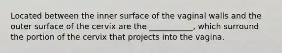 Located between the inner surface of the vaginal walls and the outer surface of the cervix are the ___________, which surround the portion of the cervix that projects into the vagina.