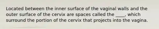 Located between the inner surface of the vaginal walls and the outer surface of the cervix are spaces called the ____, which surround the portion of the cervix that projects into the vagina.