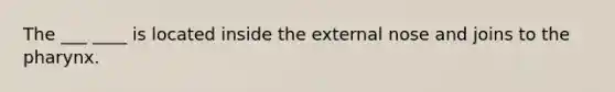 The ___ ____ is located inside the external nose and joins to the pharynx.