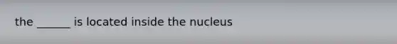 the ______ is located inside the nucleus