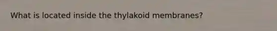 What is located inside the thylakoid membranes?