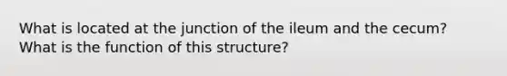 What is located at the junction of the ileum and the cecum? What is the function of this structure?