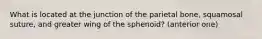 What is located at the junction of the parietal bone, squamosal suture, and greater wing of the sphenoid? (anterior one)