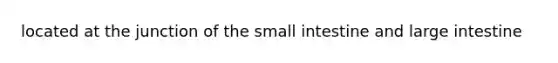 located at the junction of the small intestine and large intestine