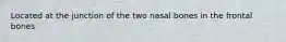Located at the junction of the two nasal bones in the frontal bones