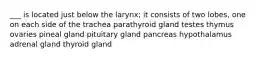 ___ is located just below the larynx; it consists of two lobes, one on each side of the trachea parathyroid gland testes thymus ovaries pineal gland pituitary gland pancreas hypothalamus adrenal gland thyroid gland