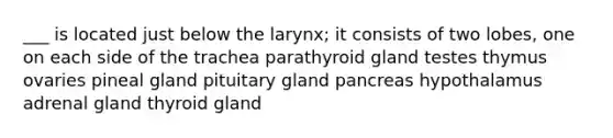 ___ is located just below the larynx; it consists of two lobes, one on each side of the trachea parathyroid gland testes thymus ovaries pineal gland pituitary gland pancreas hypothalamus adrenal gland thyroid gland