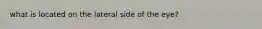 what is located on the lateral side of the eye?