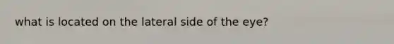 what is located on the lateral side of the eye?