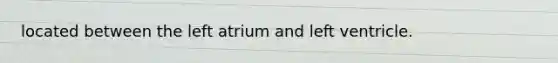 located between the left atrium and left ventricle.