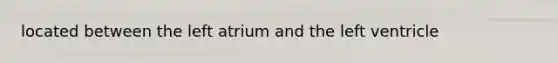 located between the left atrium and the left ventricle