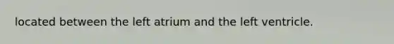 located between the left atrium and the left ventricle.