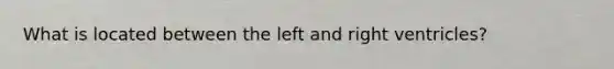 What is located between the left and right ventricles?