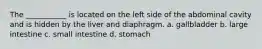 The ___________ is located on the left side of the abdominal cavity and is hidden by the liver and diaphragm. a. gallbladder b. large intestine c. small intestine d. stomach