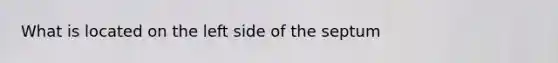 What is located on the left side of the septum