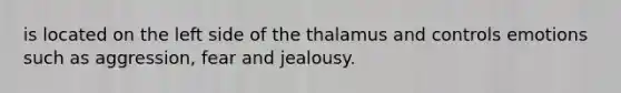 is located on the left side of the thalamus and controls emotions such as aggression, fear and jealousy.