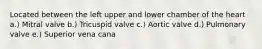 Located between the left upper and lower chamber of the heart a.) Mitral valve b.) Tricuspid valve c.) Aortic valve d.) Pulmonary valve e.) Superior vena cana