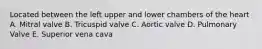 Located between the left upper and lower chambers of the heart A. Mitral valve B. Tricuspid valve C. Aortic valve D. Pulmonary Valve E. Superior vena cava