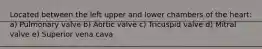 Located between the left upper and lower chambers of the heart: a) Pulmonary valve b) Aortic valve c) Tricuspid valve d) Mitral valve e) Superior vena cava