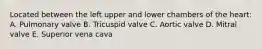 Located between the left upper and lower chambers of the heart: A. Pulmonary valve B. Tricuspid valve C. Aortic valve D. Mitral valve E. Superior vena cava