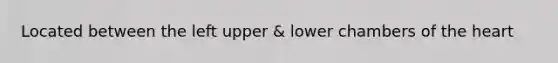 Located between the left upper & lower chambers of the heart