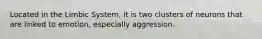 Located in the Limbic System, it is two clusters of neurons that are linked to emotion, especially aggression.