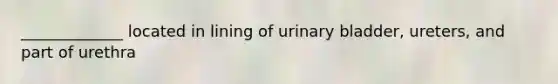 _____________ located in lining of urinary bladder, ureters, and part of urethra