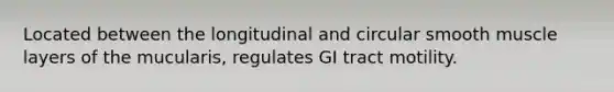 Located between the longitudinal and circular smooth muscle layers of the mucularis, regulates GI tract motility.