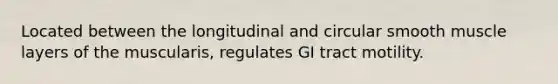 Located between the longitudinal and circular smooth muscle layers of the muscularis, regulates GI tract motility.