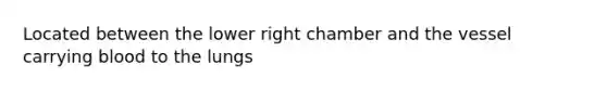 Located between the lower right chamber and the vessel carrying blood to the lungs
