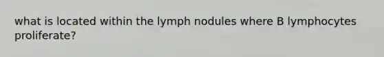 what is located within the lymph nodules where B lymphocytes proliferate?