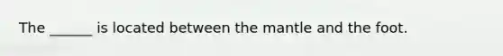 The ______ is located between <a href='https://www.questionai.com/knowledge/kHR4HOnNY8-the-mantle' class='anchor-knowledge'>the mantle</a> and the foot.