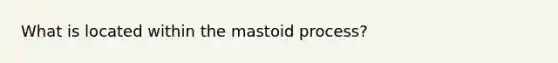 What is located within the mastoid process?