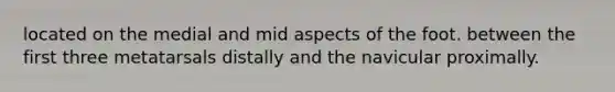 located on the medial and mid aspects of the foot. between the first three metatarsals distally and the navicular proximally.