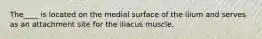 The____ is located on the medial surface of the ilium and serves as an attachment site for the iliacus muscle.