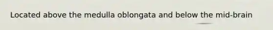 Located above the medulla oblongata and below the mid-brain