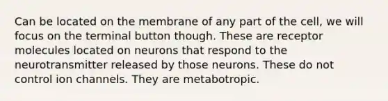 Can be located on the membrane of any part of the cell, we will focus on the terminal button though. These are receptor molecules located on neurons that respond to the neurotransmitter released by those neurons. These do not control ion channels. They are metabotropic.