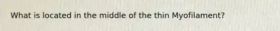 What is located in the middle of the thin Myofilament?