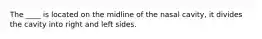 The ____ is located on the midline of the nasal cavity, it divides the cavity into right and left sides.
