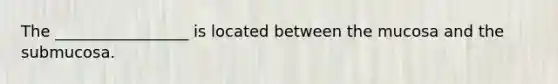 The _________________ is located between the mucosa and the submucosa.