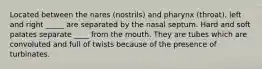 Located between the nares (nostrils) and pharynx (throat), left and right _____ are separated by the nasal septum. Hard and soft palates separate ____ from the mouth. They are tubes which are convoluted and full of twists because of the presence of turbinates.