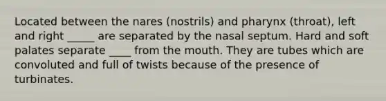 Located between the nares (nostrils) and pharynx (throat), left and right _____ are separated by the nasal septum. Hard and soft palates separate ____ from the mouth. They are tubes which are convoluted and full of twists because of the presence of turbinates.