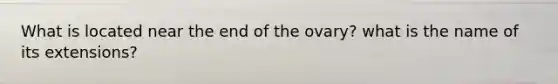 What is located near the end of the ovary? what is the name of its extensions?