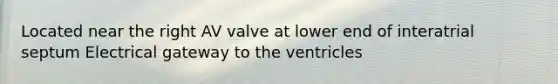 Located near the right AV valve at lower end of interatrial septum Electrical gateway to the ventricles