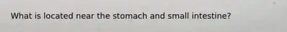 What is located near the stomach and small intestine?