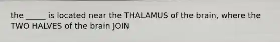 the _____ is located near the THALAMUS of the brain, where the TWO HALVES of the brain JOIN