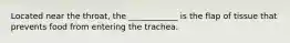 Located near the throat, the ____________ is the flap of tissue that prevents food from entering the trachea.